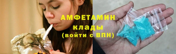 амф Дубна