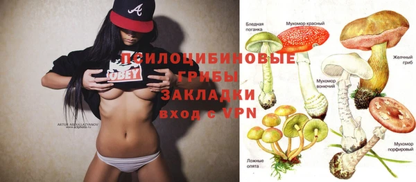 мяу мяу мука Абинск
