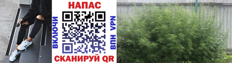 мега ТОР  купить наркотик  Яхрома  МАРИХУАНА Bruce Banner 